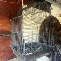 Bird Cage 