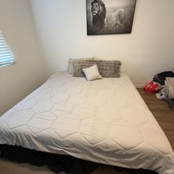 king bed and box springs