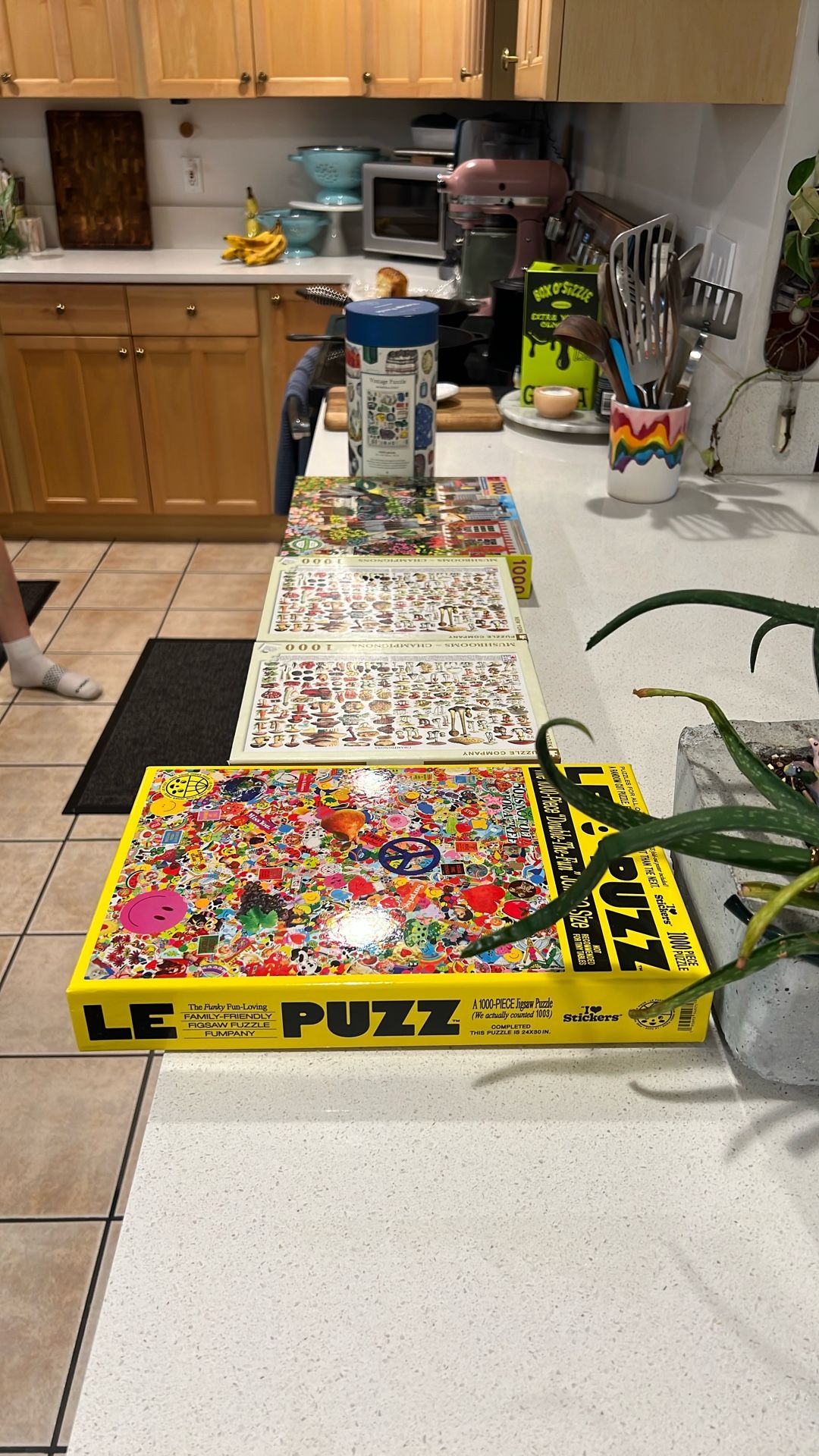 Various 100 Piece Puzzles