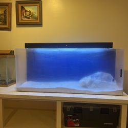 Large Fish Tank