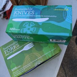 Picnic Plastic Forks and Knives