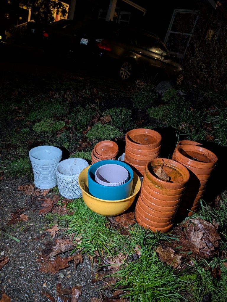 Free Planter Pots And Drip Trays