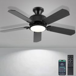 Ceiling Fan With Light