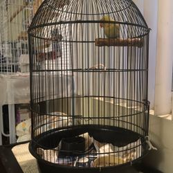 Lovebird Cage