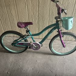 20 Inch Schwinn Bicycle 