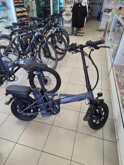 Electronic E-bike