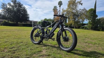 Beecool x2 Dual Motor 2000w Electric Bike