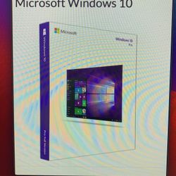 Windows 10 Professional Software