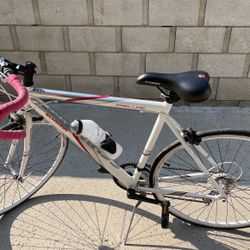 Street Bike