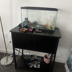 20-Gallon Fish Tank with Stand 