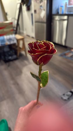 24K GOLD FOREVER ROSE
