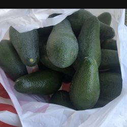 Avocados