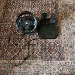 Playstation Streeting Wheel