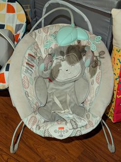 Baby Bouncers