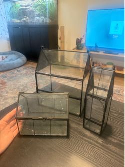Mini Terrarium Greenhouses for Plants or Bug or Jumping Spider Ennclosure