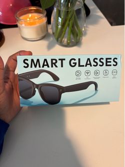 Smart Glasses (Meta)