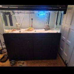 Large Fish Tank With  Stand