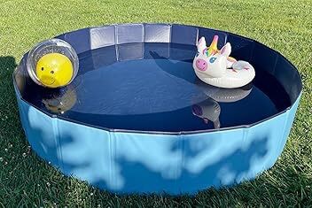 NEW Dog Pool Kiddie Pool