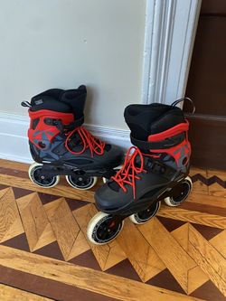Roller Blades 