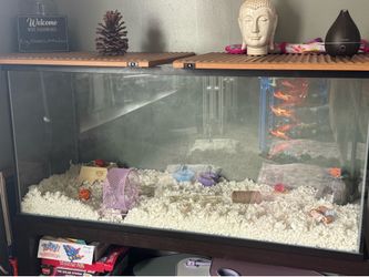 Fish tank