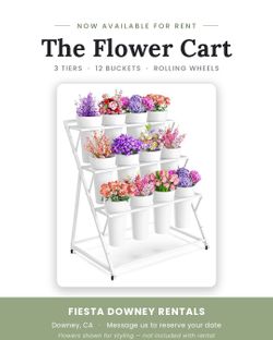 Chairs, umbrellas, tables, flower stand bar