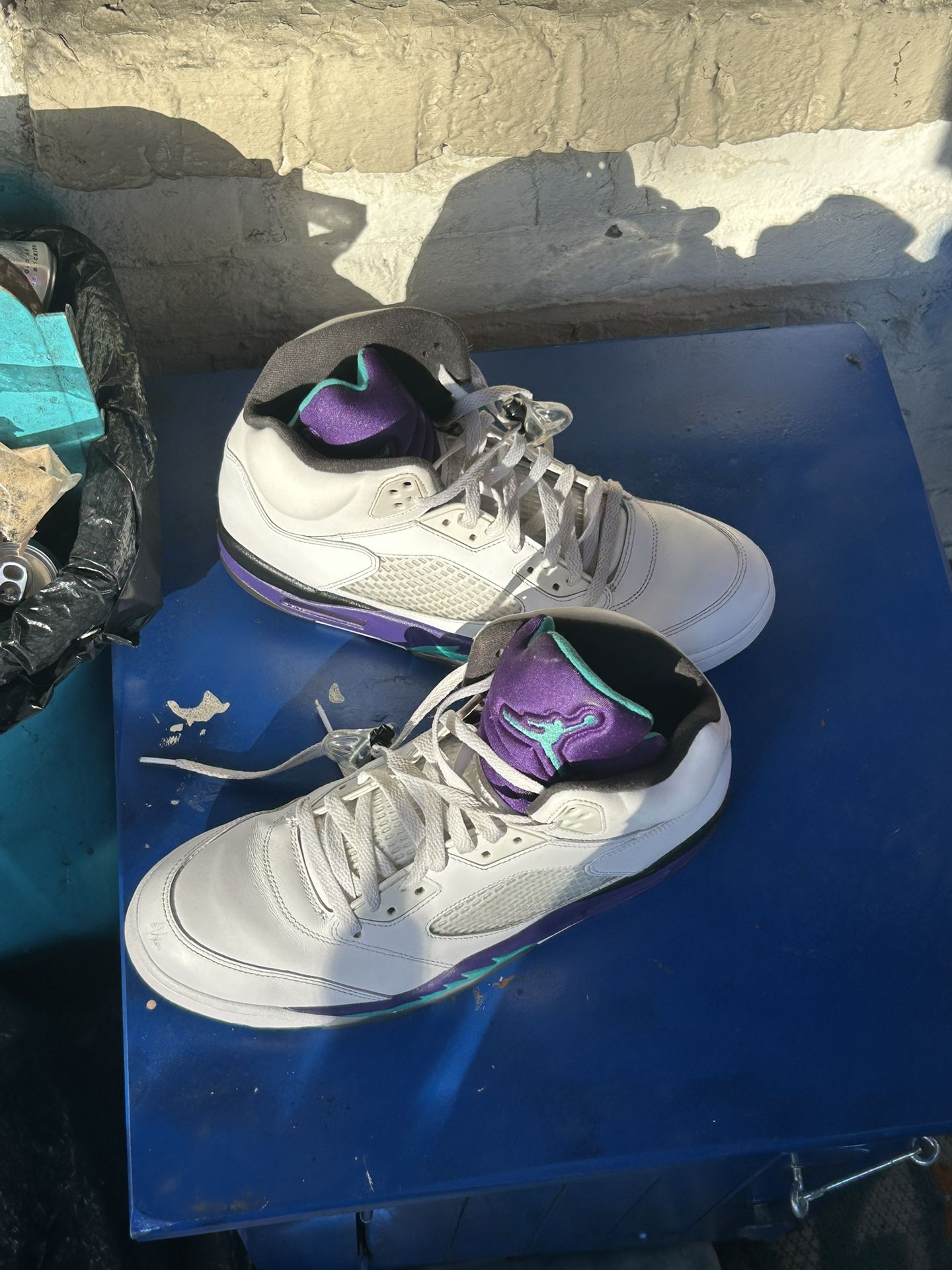 Nike Jordan 5 Grapes 2013 Size 12