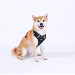 Breathable mesh Dog Harness No Pull and Leash Set Adjustable Pet Harness with Soft Padded Vertical Handle for Lifting Reflective No-Choke Dog Vest 2 L