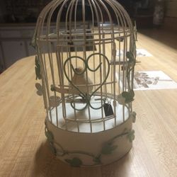 Musical Bird in Cage