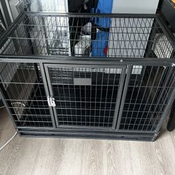 Dog Cage 