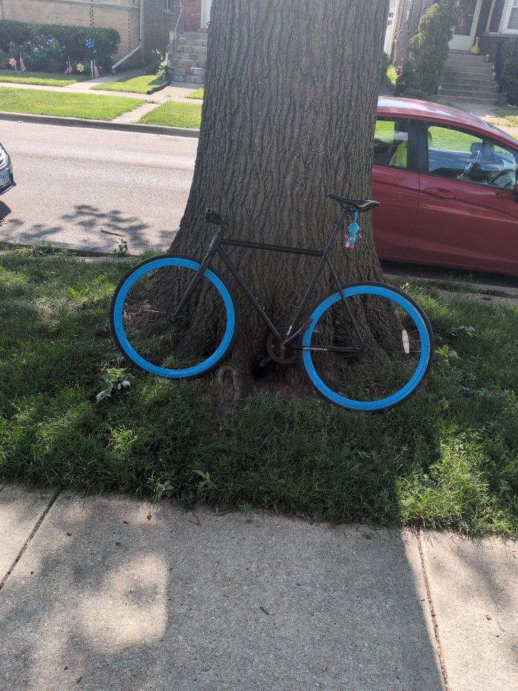 Used Fixie