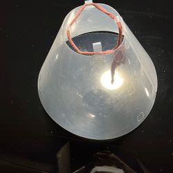 E Collar For Large Dog