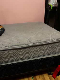 Twin mattress & Boxspring