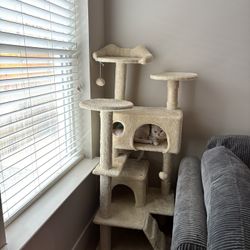 Cat Tree