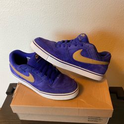 **ULTRA RARE** Nike SB Paul Rodriguez 2.5