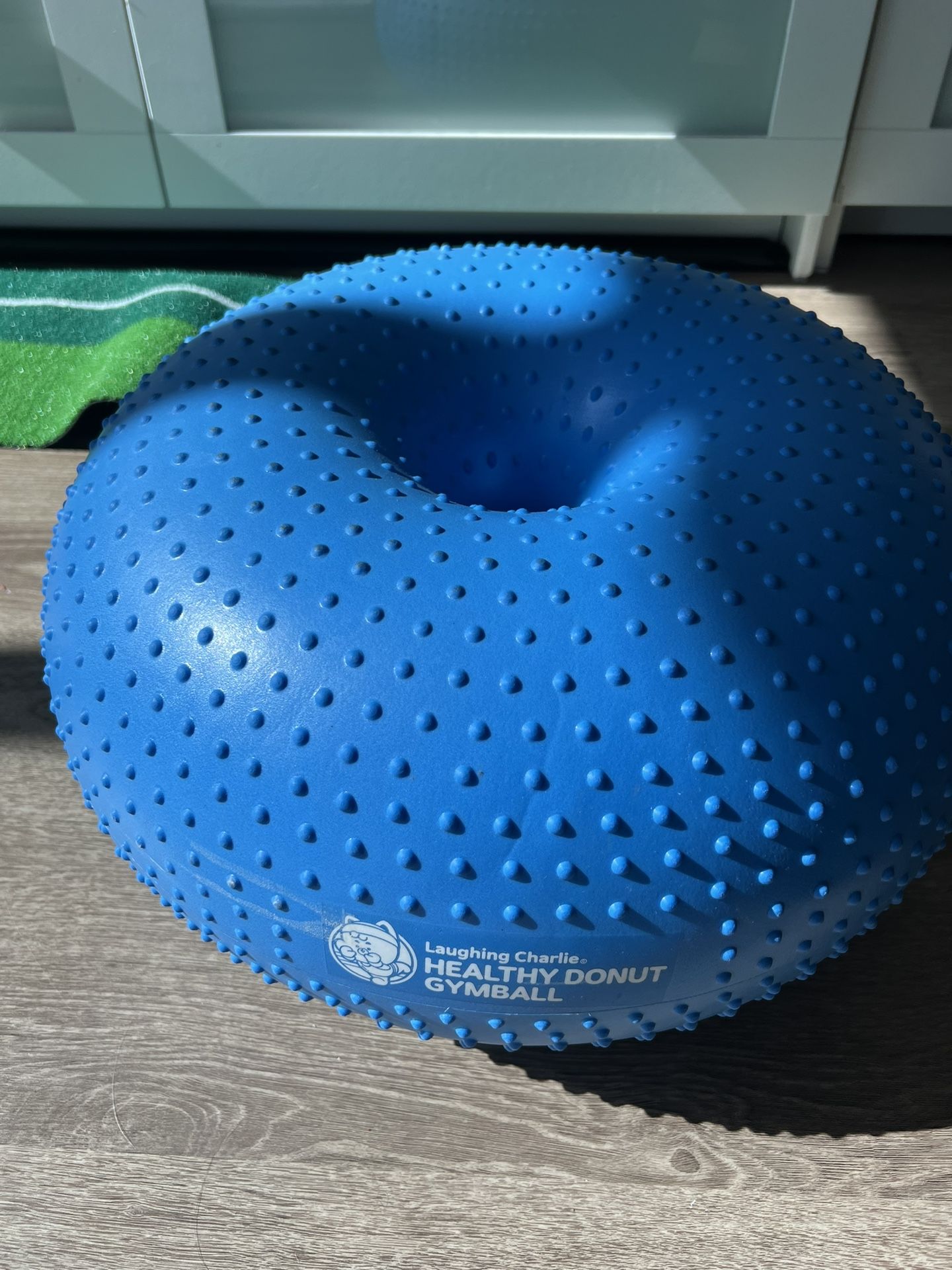 Gym Ball Donut For Kids & Dog