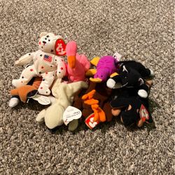 Mini Ty Collectibles