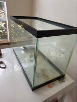 20-29gallon akvaryum