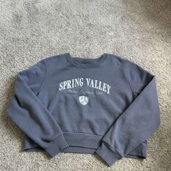 Hollister Cropped Crewneck