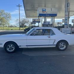65 MUSTANG / RUNS / CLEAN TITLE IN HAND