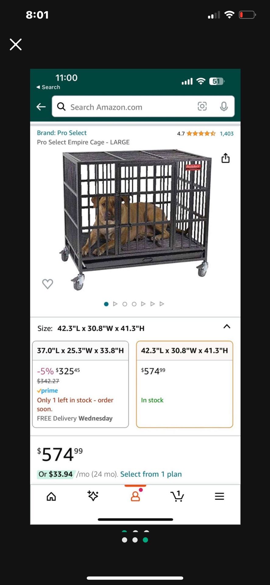 Cage Dog