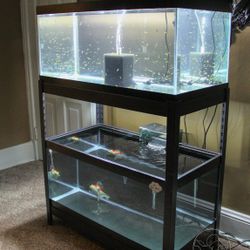 40 Gallon Breeder Rack System