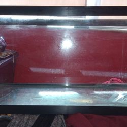 Fish Tank/Aquarium 