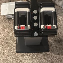 PowerBlock Dumbbells 