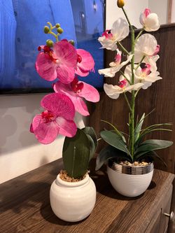 set of two artificial Phalaenopsis orchid arrangements in ceramic pots.