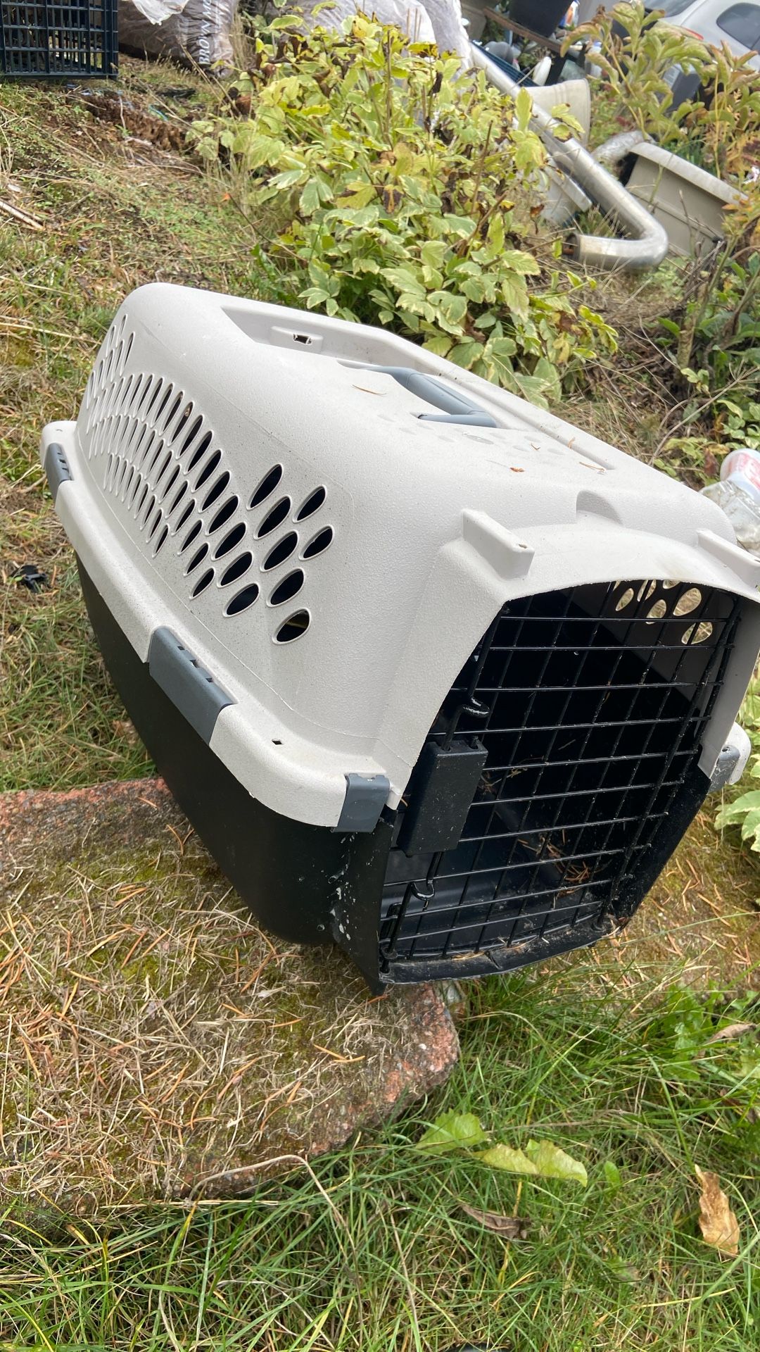 Dog Kennel L21x W12. Prices 10. Pick Up. E. 72. And. Grandview. E. Tacoma