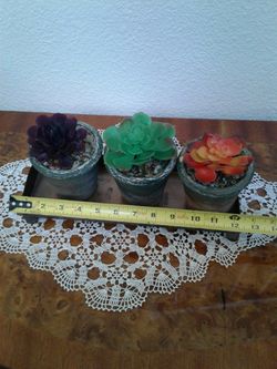 Artificial succulents in 3 small ceramic pots with metal tray. $15 OR BEST OFFER