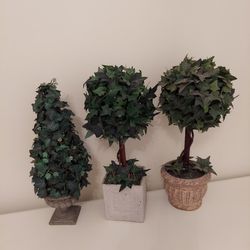 Set Of Three Topiary 25.00 