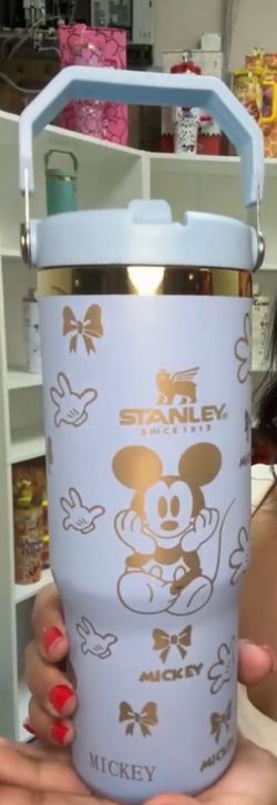 💜 Mickey & Friends 30oz Stanley