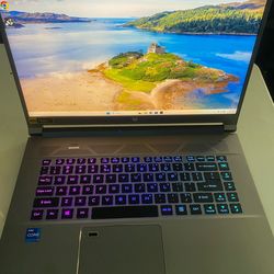 Acer Predator Gaming Laptop- i7-11th Gen  - RTX 3060 6G - 32G Ram - 165Hz LCD - 1.5TB SSD - Win 11