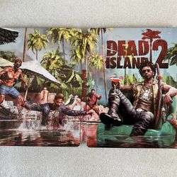 Dead Island 2 Custom made Steelbook Case only for PS4/PS5/Xbox (No Game) New 